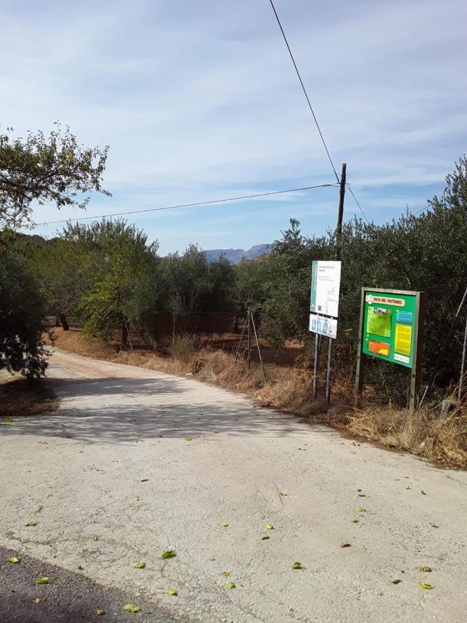 Hacienda La Buena Vida B&B En Appartementen Casita Almendas La Carrera de la Viña Exteriér fotografie
