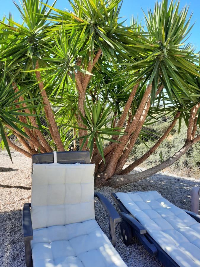 Hacienda La Buena Vida B&B En Appartementen Casita Almendas La Carrera de la Viña Exteriér fotografie