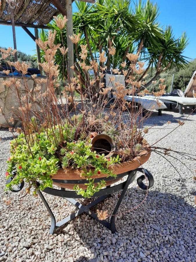 Hacienda La Buena Vida B&B En Appartementen Casita Almendas La Carrera de la Viña Exteriér fotografie