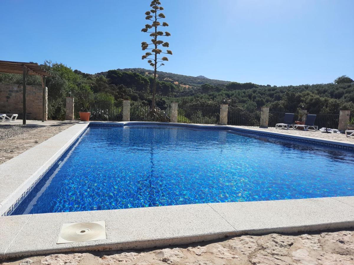 Hacienda La Buena Vida B&B En Appartementen Casita Almendas La Carrera de la Viña Exteriér fotografie