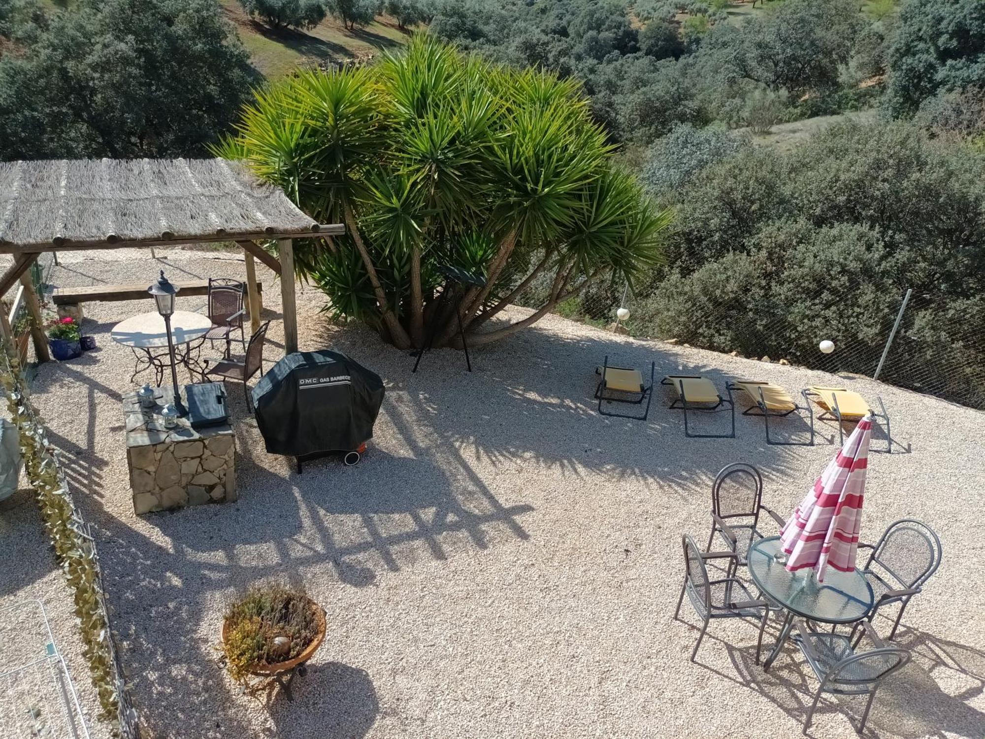 Hacienda La Buena Vida B&B En Appartementen Casita Almendas La Carrera de la Viña Exteriér fotografie